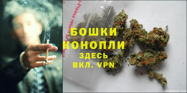 PSILOCYBIN Верхний Тагил
