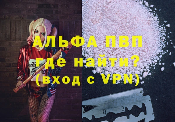 PSILOCYBIN Верхний Тагил