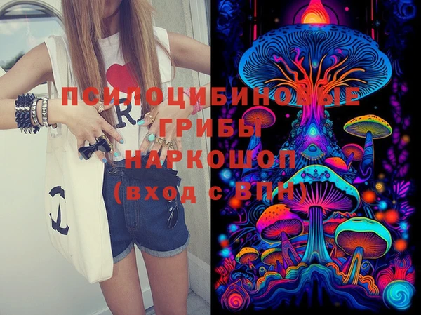 PSILOCYBIN Верхний Тагил