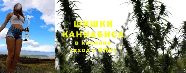 PSILOCYBIN Верхний Тагил