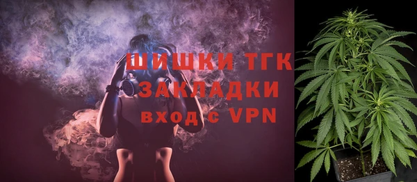 PSILOCYBIN Верхний Тагил