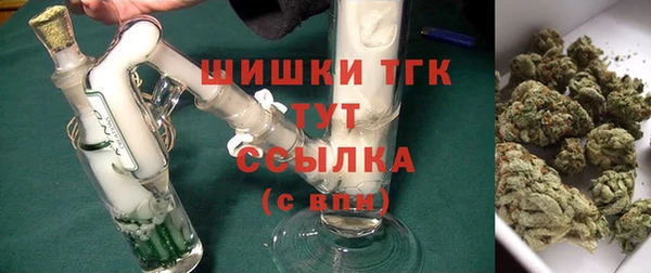 PSILOCYBIN Верея